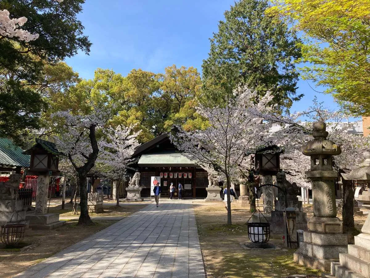 【eye-catch】那古野神社桜の様子