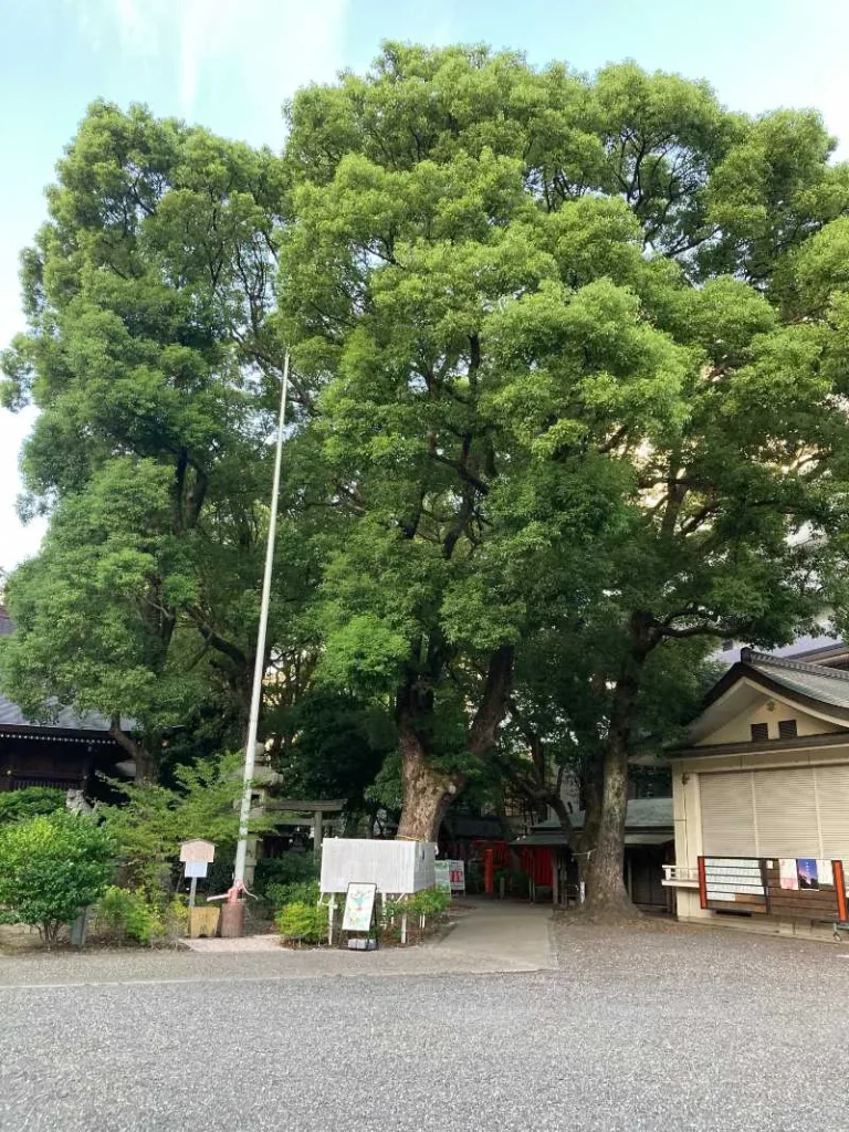 若宮八幡社鳥居