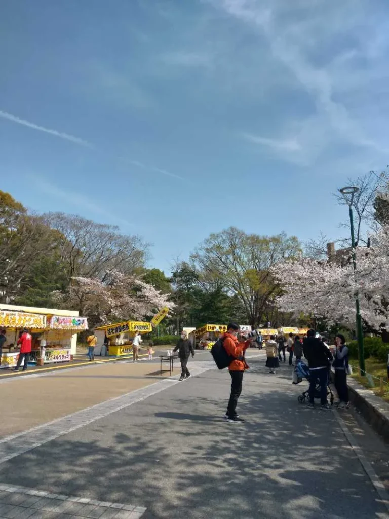 turuma park sakura