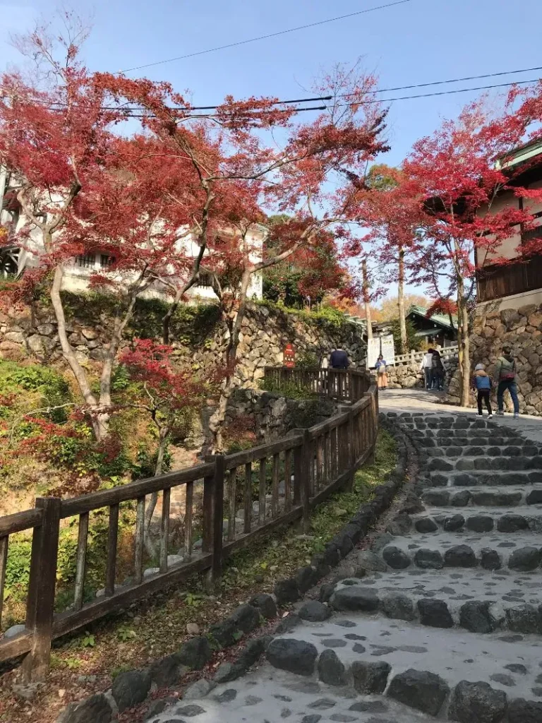 inuyama castle autum