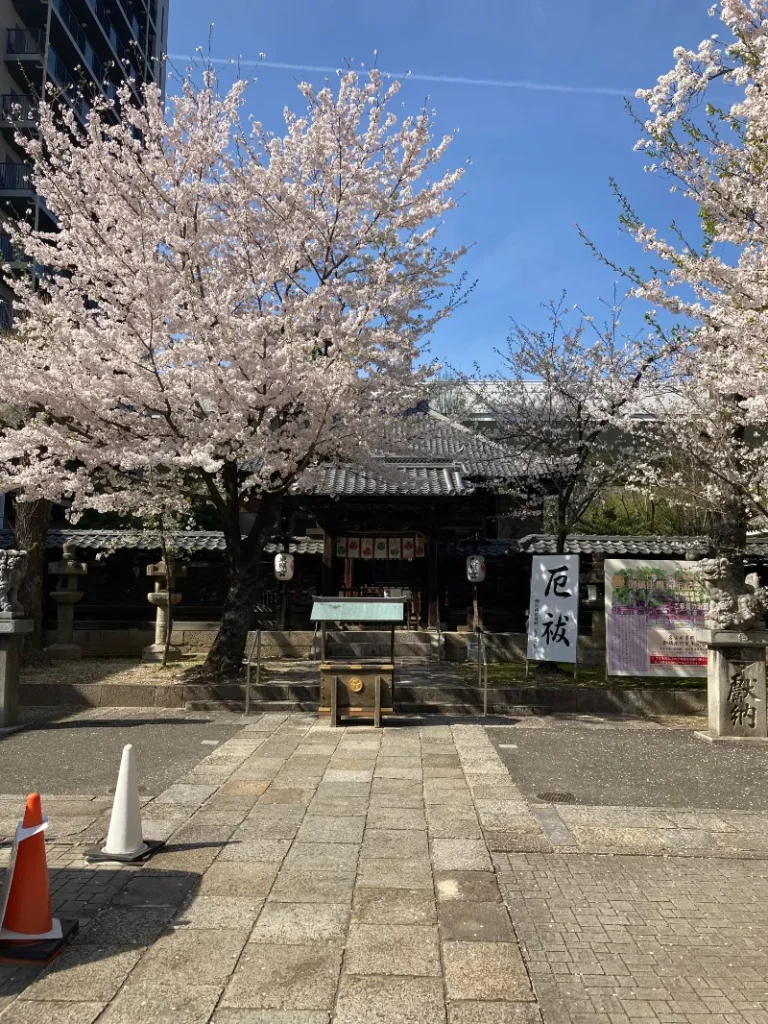 nagoya toshogu sakura