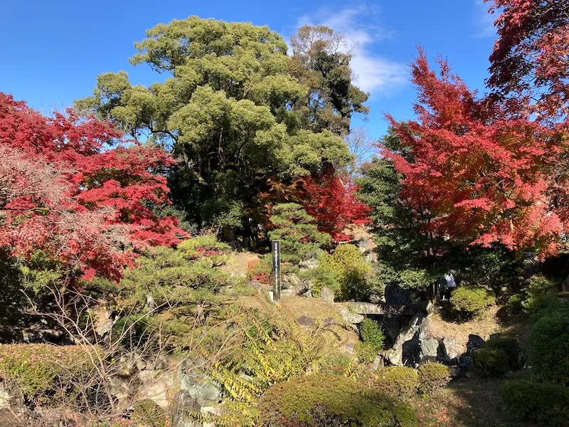 名古屋城二の丸公園