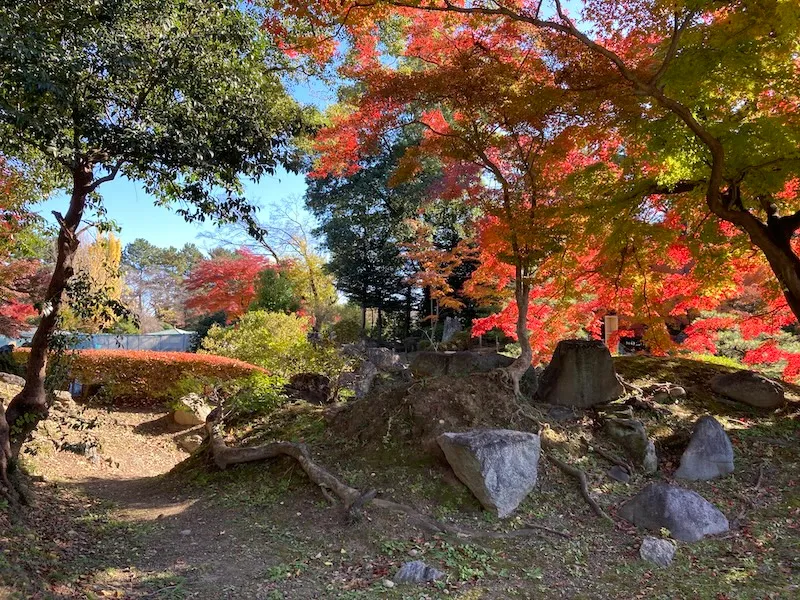 名古屋城二の丸庭園