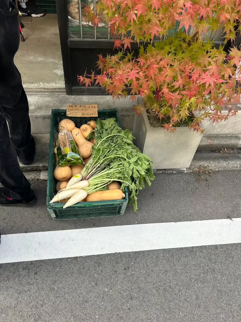 Shikemichi festival 2025-5