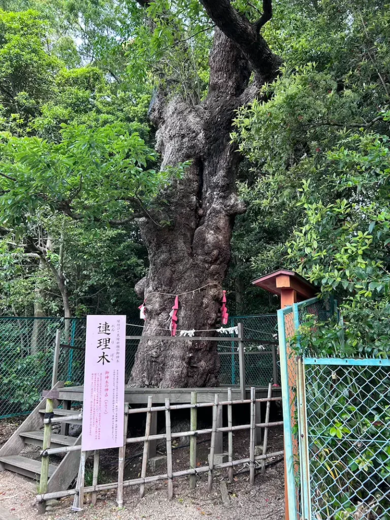 城山八幡宮9