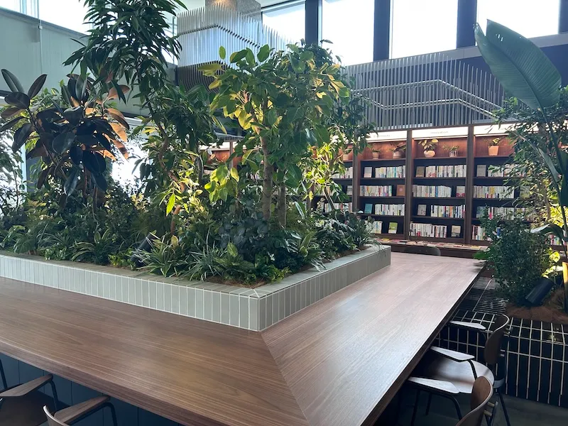 20260619pooolカフェ4